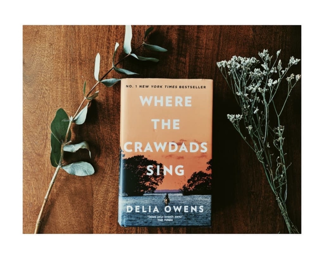 Where The Crawdads Sing Wear This There